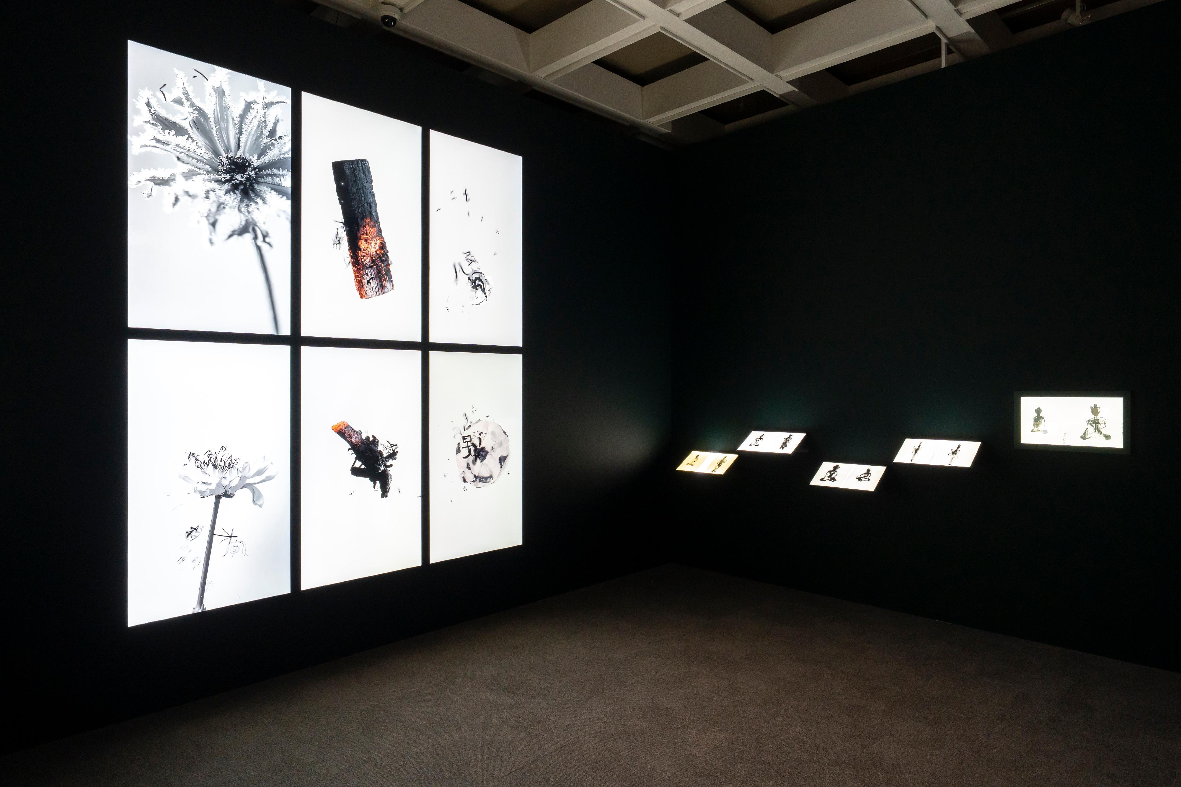 香港藝術館明日（三月二十日）起舉辦「當下&mdash;&mdash;香港藝術展」，匯聚19位活躍於當今香港藝壇的藝術家作品。圖示藝術家洪強作品《視域的摺疊：四時+萬彿印記 系列》。

