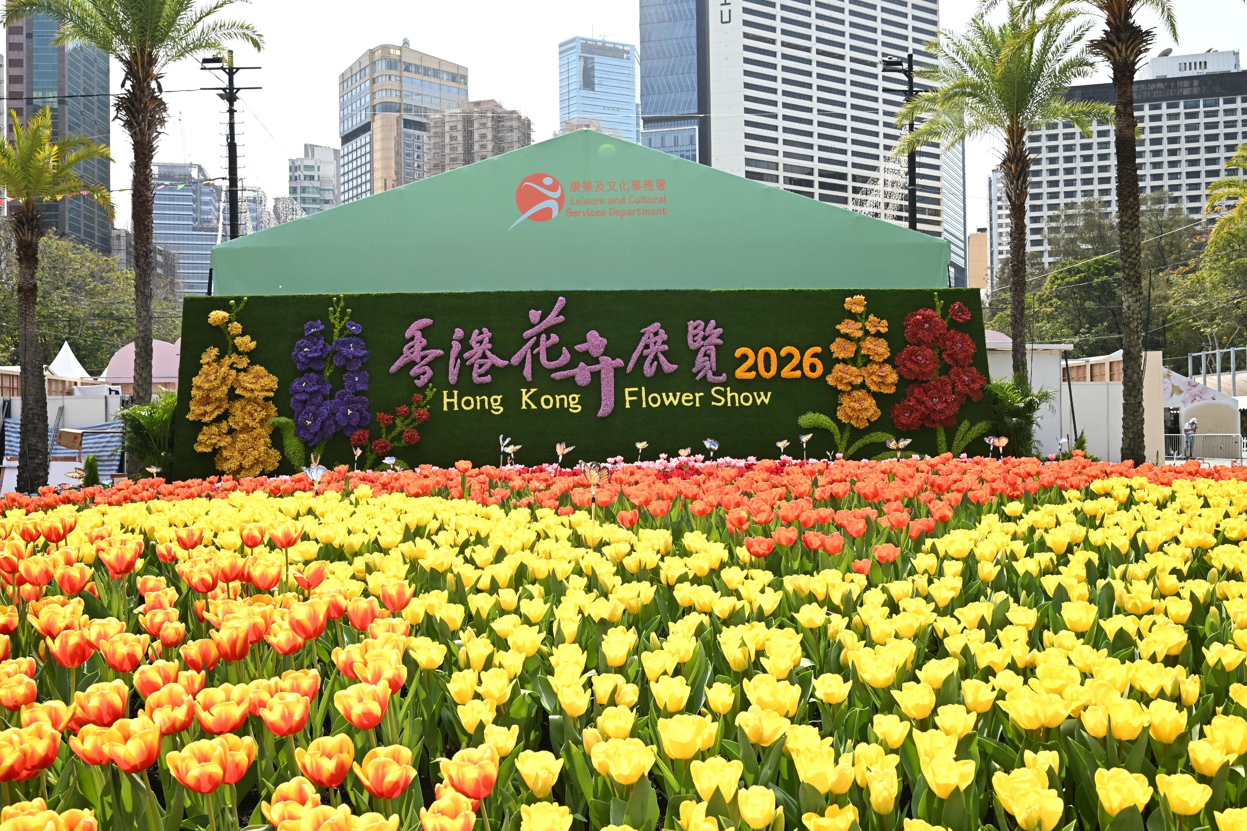 The Hong Kong Flower Show 2026 will be held at Victoria Park from tomorrow (March 20) to March 29. This year's theme flower is stock, under the theme "A Fragrant Journey through Hong Kong". The three-dimensional theme flower floral wall of this year features five giant stocks, each composed of more than 30 three-dimensional flowers, and is set off with over 6 000 orchids, myosotis and other floral materials.
