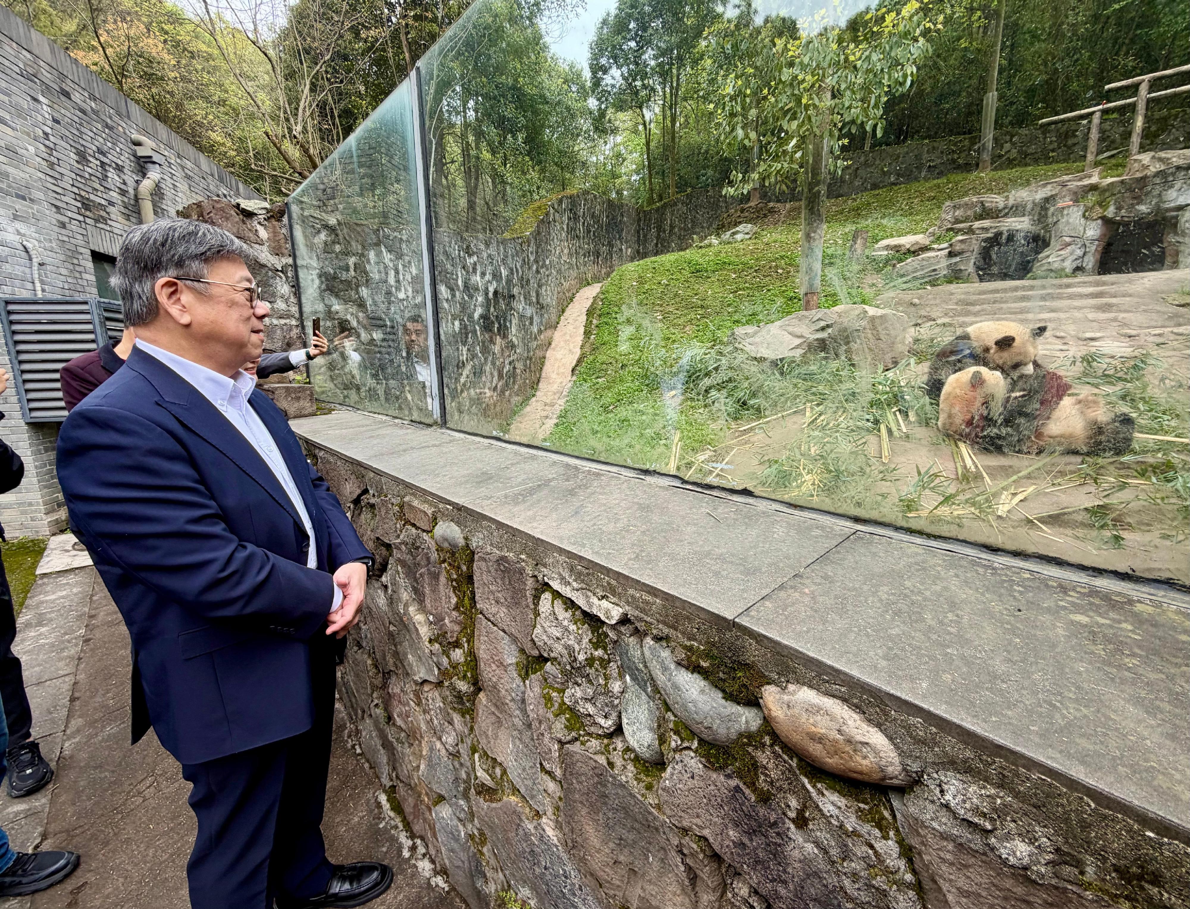 The Secretary for Commerce and Economic Development, Mr Algernon Yau, on his visit to Sichuan yesterday (March 24) visited the Dujiangyan Base of the China Conservation and Research Centre for the Giant Panda, which was built with support from the Hong Kong Special Administrative Region Government after the Wenchuan earthquake in 2008, to learn about its latest developments.