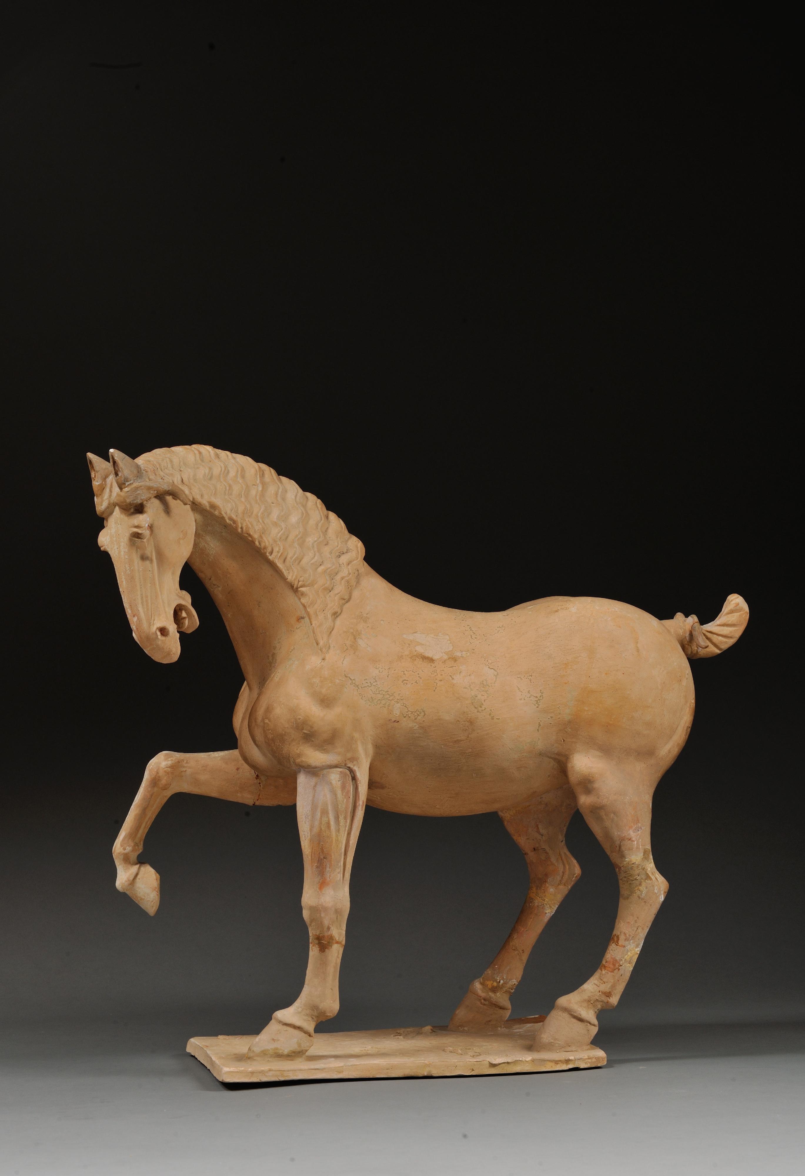 The Chinese Culture Festival 2026 will be held from June to September. Photo shows a white pottery dancing horse, one of the exhibits of "Hong Kong Jockey Club Series: Prosperity and Magnificence - Civilisation of the Sui and Tang Dynasties in Shaanxi Province".