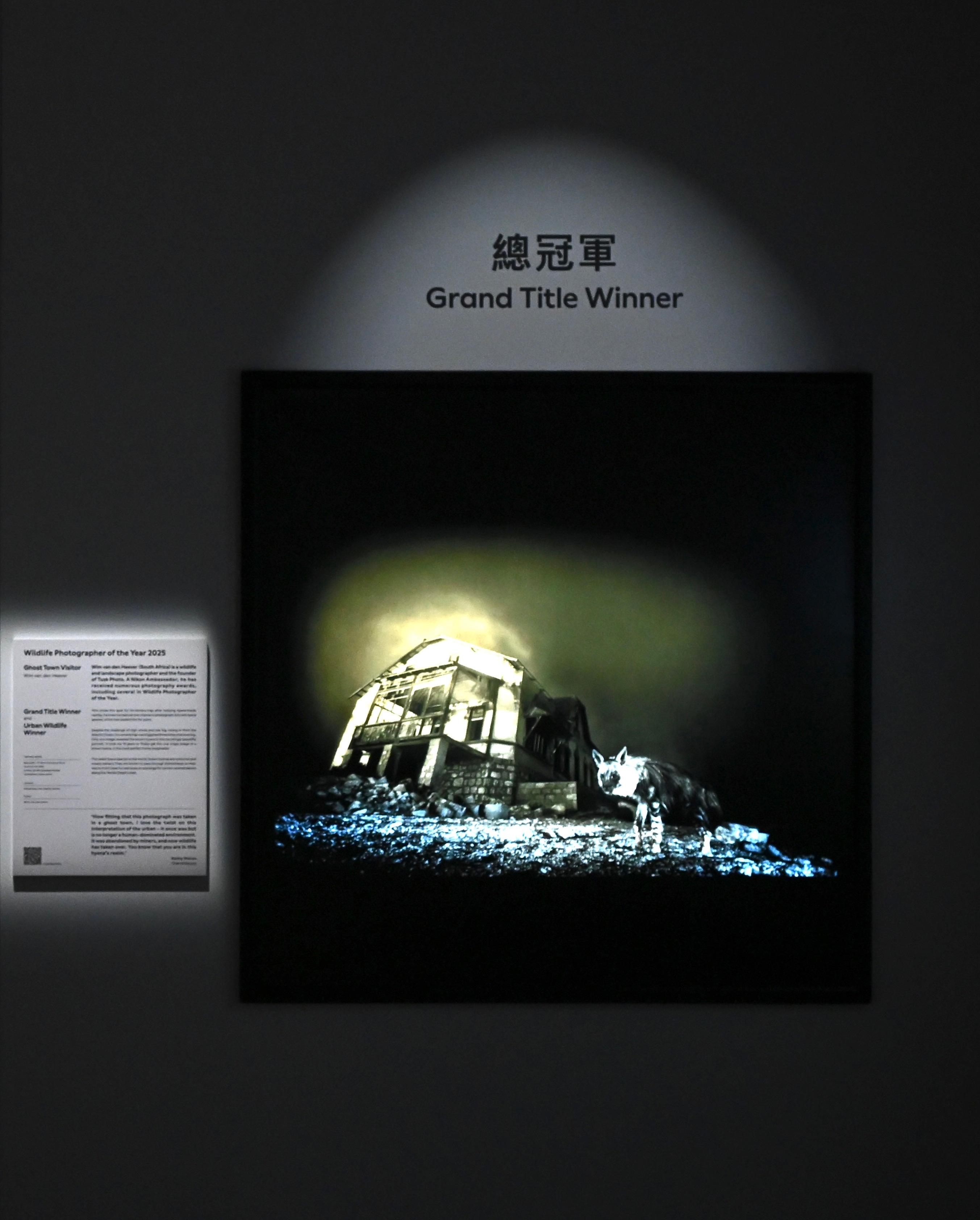 The "Wildlife Photographer of the Year" exhibition showcases award-winning photographs from the 61st Wildlife Photographer of the Year competition organised by the Natural History Museum, London. Photo shows "Ghost Town Visitor" by the Grand Title Winner, Wim van den Heever, from South Africa. The photographer spent 10 years to capture a rare brown hyena in a ghost town. 