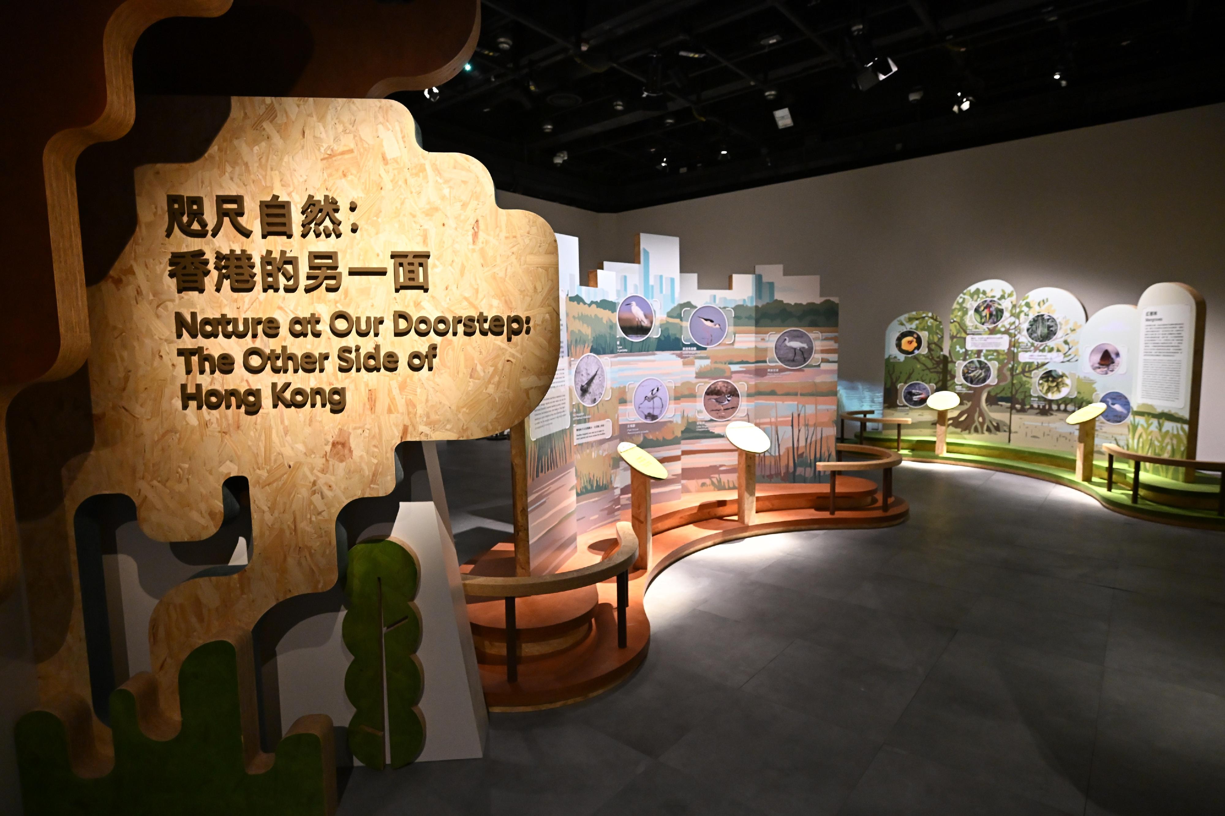 To complement the "Wildlife Photographer of the Year" exhibition, the Hong Kong Science Museum has specially curated the "Nature at Our Doorstep: The Other Side of Hong Kong" exhibition to introduce Hong Kong's wetlands and wildlife. Photo shows the "Nature at Our Doorstep: The Other Side of Hong Kong" exhibition area. 