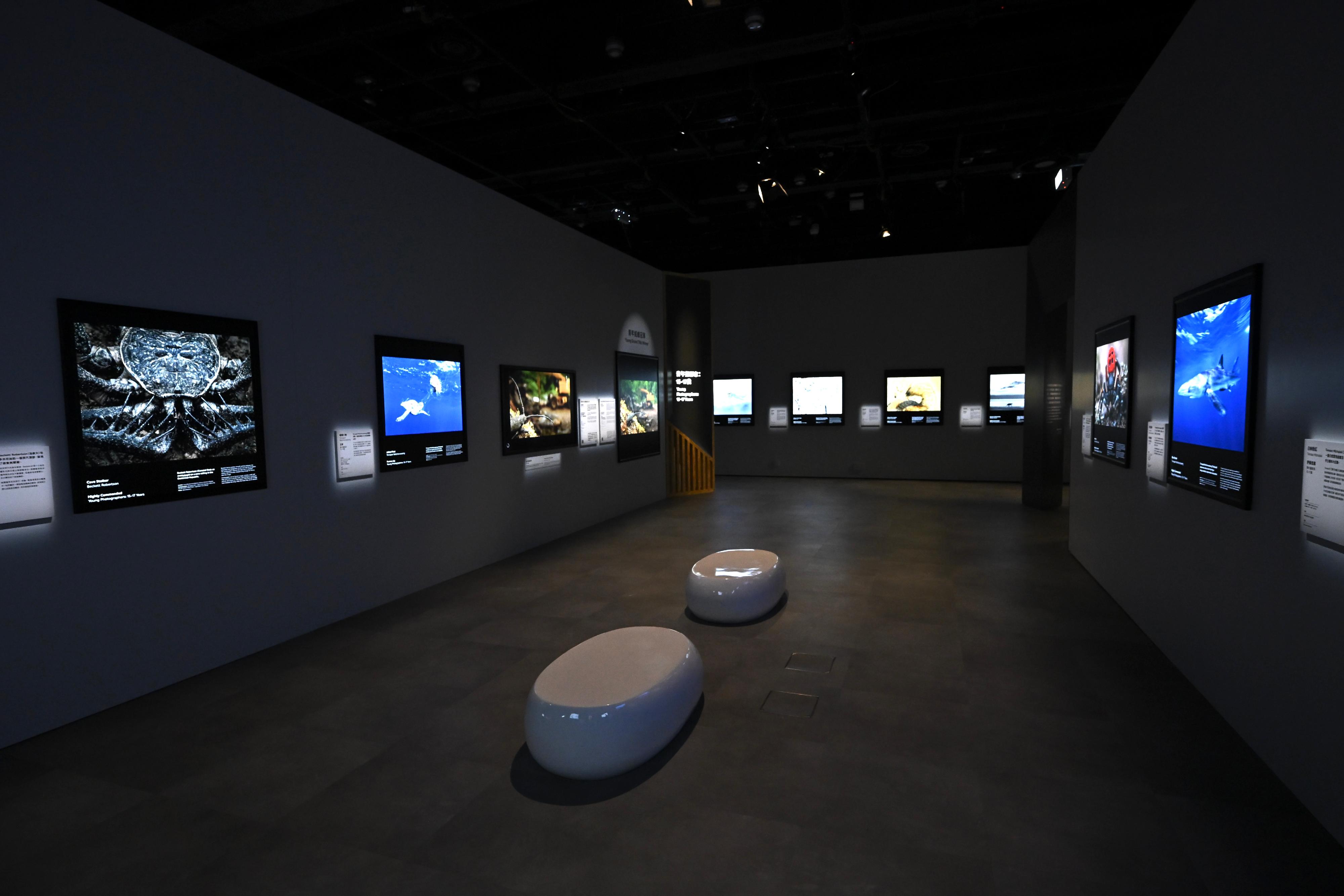 The "Wildlife Photographer of the Year" exhibition showcases award-winning photographs from the 61st Wildlife Photographer of the Year competition organised by the Natural History Museum, London.