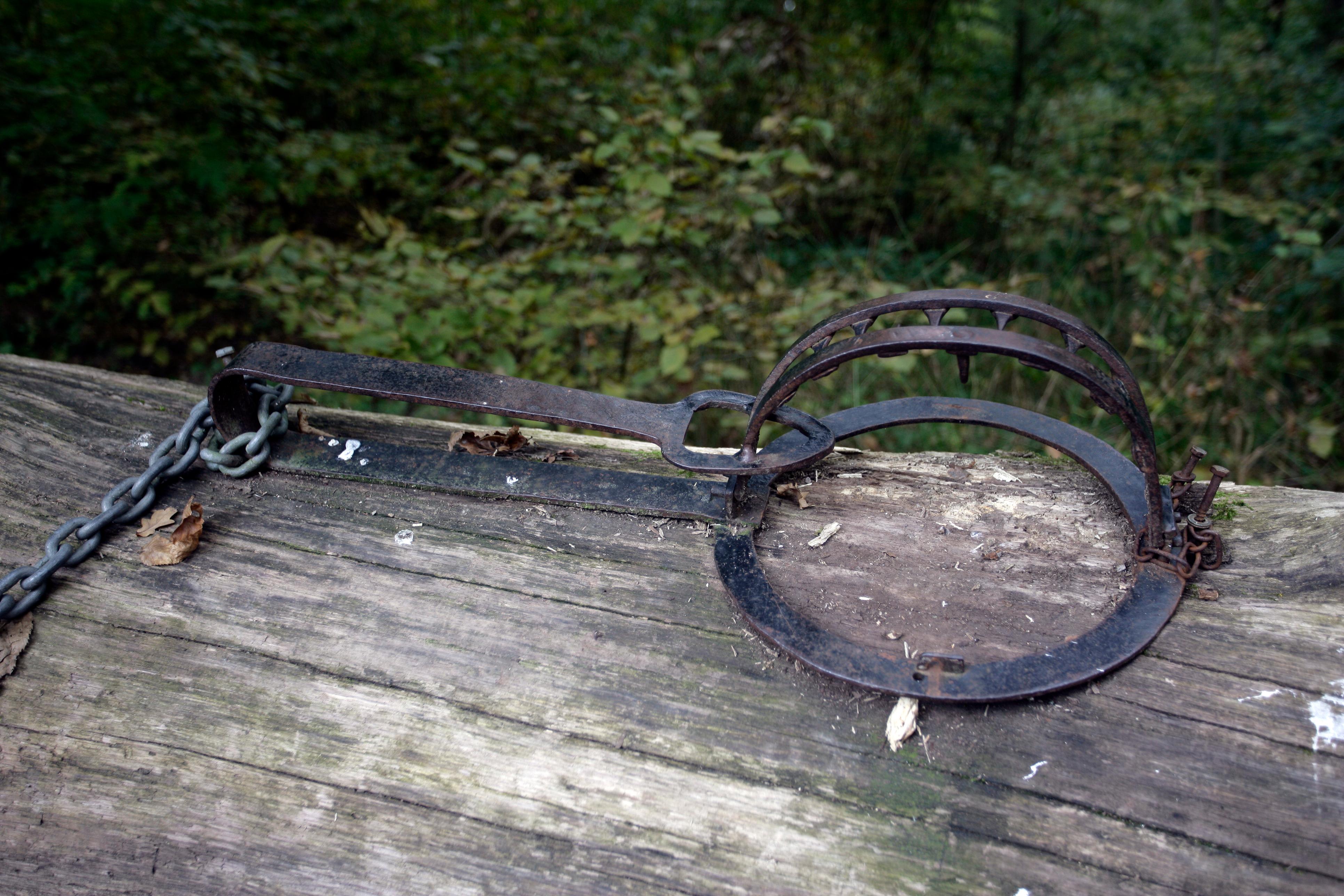 The Office of The Ombudsman today (April 16) announced the results of a direct investigation operation into the Government's work in combating cruelty to animals. Photo shows an animal trap.
