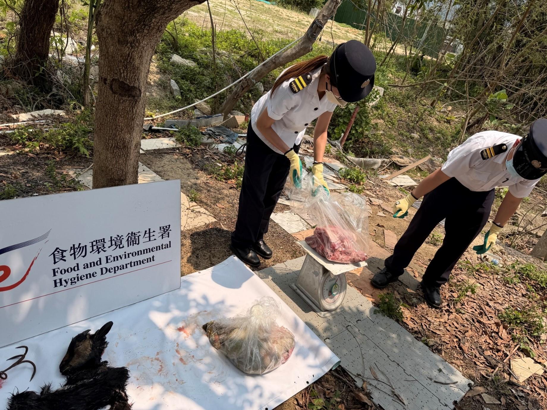 The Food and Environmental Hygiene Department (FEHD) yesterday (April 16) cracked down on an illegal slaughterhouse in Kam Tin, Yuen Long District. Photo shows FEHD officers seizing and immediately destroying suspected illegally slaughtered goat meat and offal during the operation.