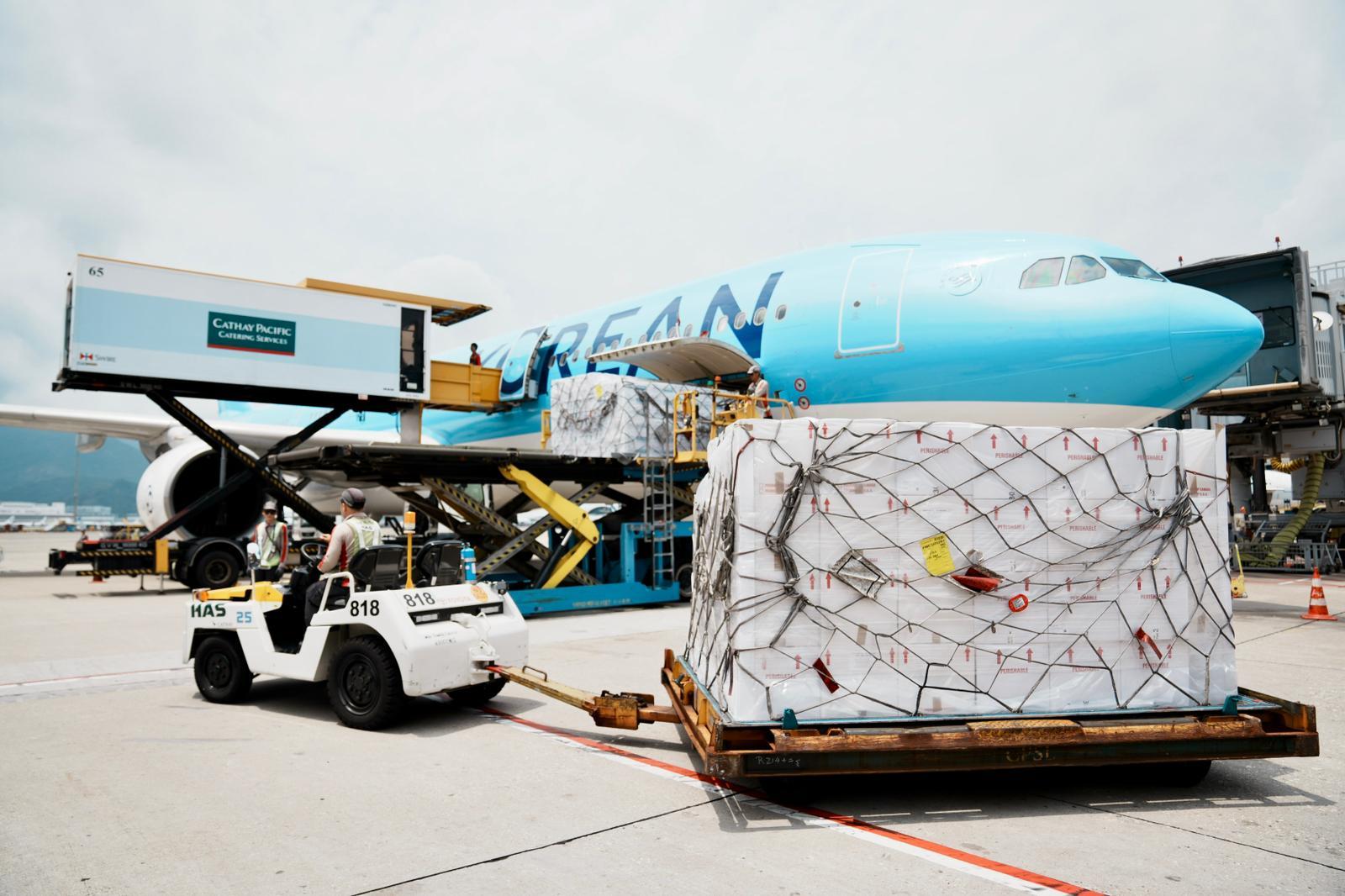 The Air-Land Fresh Lane has reached another milestone. A shipment of live lobsters weighing 986 kilograms arrived in Hong Kong yesterday (April 22) by air from Canada, and was immediately transhipped by a cross-border refrigerated truck across the Hong Kong-Zhuhai-Macao Bridge directly to Macao. This marks the first consignment of overseas fresh products delivered to Macao via Hong Kong utilising the Fresh Lane, realising a seamless "Overseas-Hong Kong-Macao" one-stop delivery.