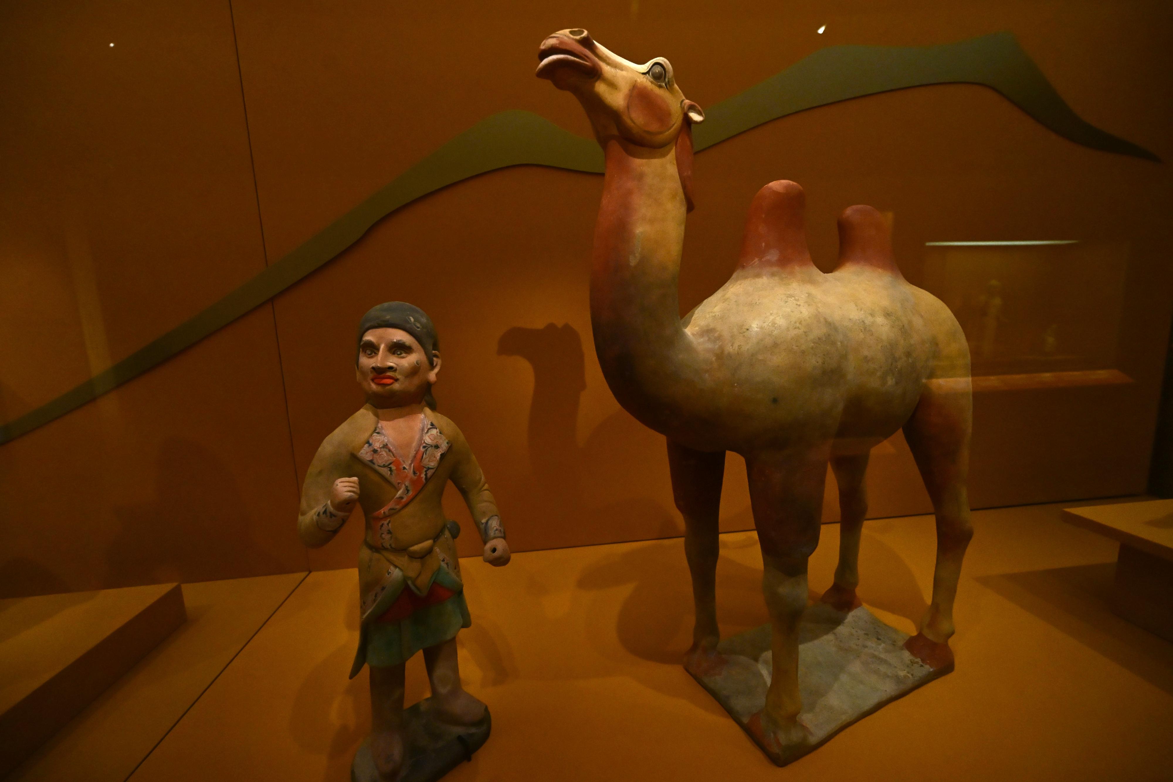 The Hong Kong Museum of History's "The Hong Kong Jockey Club Series: Prosperity and Magnificence - Civilisation of the Sui and Tang Dynasties in Shaanxi Province" exhibition will be open to the public from tomorrow (April 25). Photo shows painted figurines of a camel and a keeper unearthed from a tomb in Xianyang. The camel keeper has the deep-set eyes and high nose of a foreigner. He wears a short, brightly coloured-robe and the figurine is full of exotic character. 

