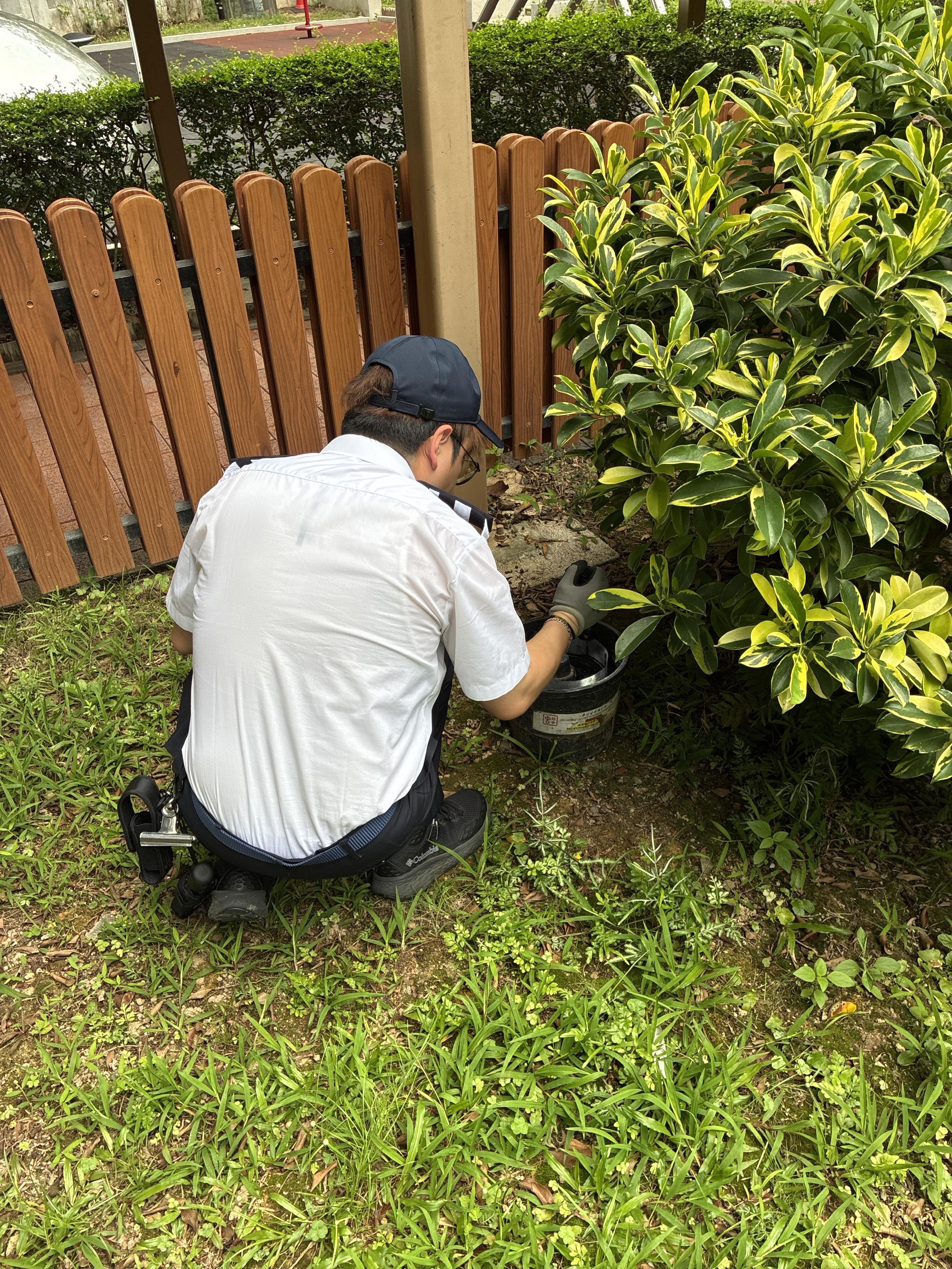 The Food and Environmental Hygiene Department (FEHD) today (April 24) released the fourth batch of gravidtrap indexes and density indexes for Aedes albopictus in April, covering 19 survey areas. Photo shows an FEHD staff member inspecting a new mosquito trap at a park in Tai Po District to improve mosquito prevention results.
