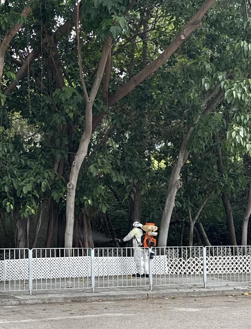 The Food and Environmental Hygiene Department (FEHD) today (April 24) released the fourth batch of gravidtrap indexes and density indexes for Aedes albopictus in April, covering 19 survey areas. Photo shows a staff member of the FEHD's contractor conducting fogging operation to eliminate adult mosquitoes in So Kwun Wat, Tuen Mun District.
