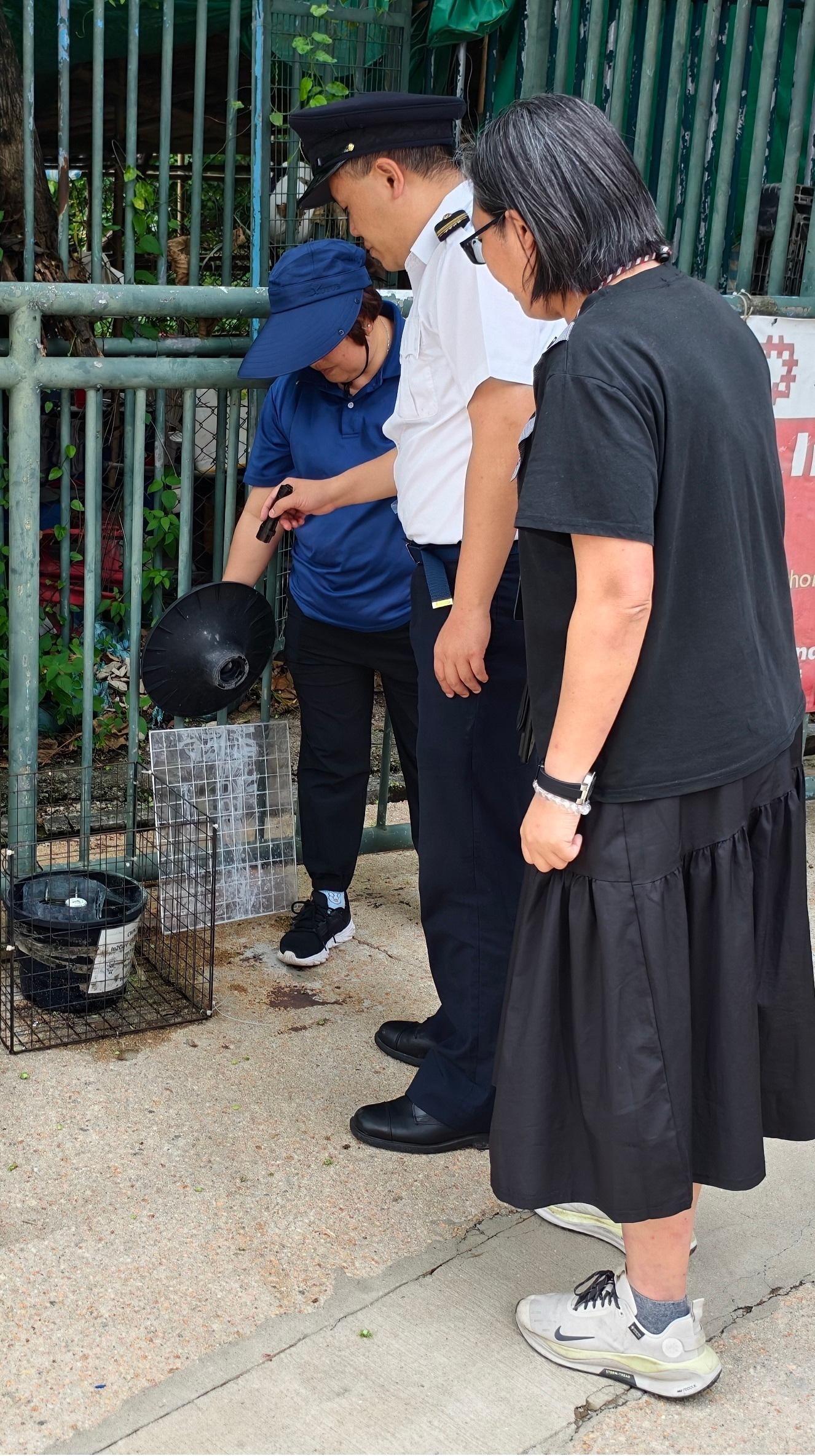The Food and Environmental Hygiene Department (FEHD) today (May 5) released the sixth batch of gravidtrap indexes and density indexes for Aedes albopictus in April, covering 15 survey areas. Photo shows an FEHD staff member inspecting a new mosquito trap at a public housing estate in Ngau Chi Wan, Wong Tai Sin District, and providing the property management staff members with technical advice on mosquito prevention and control.
