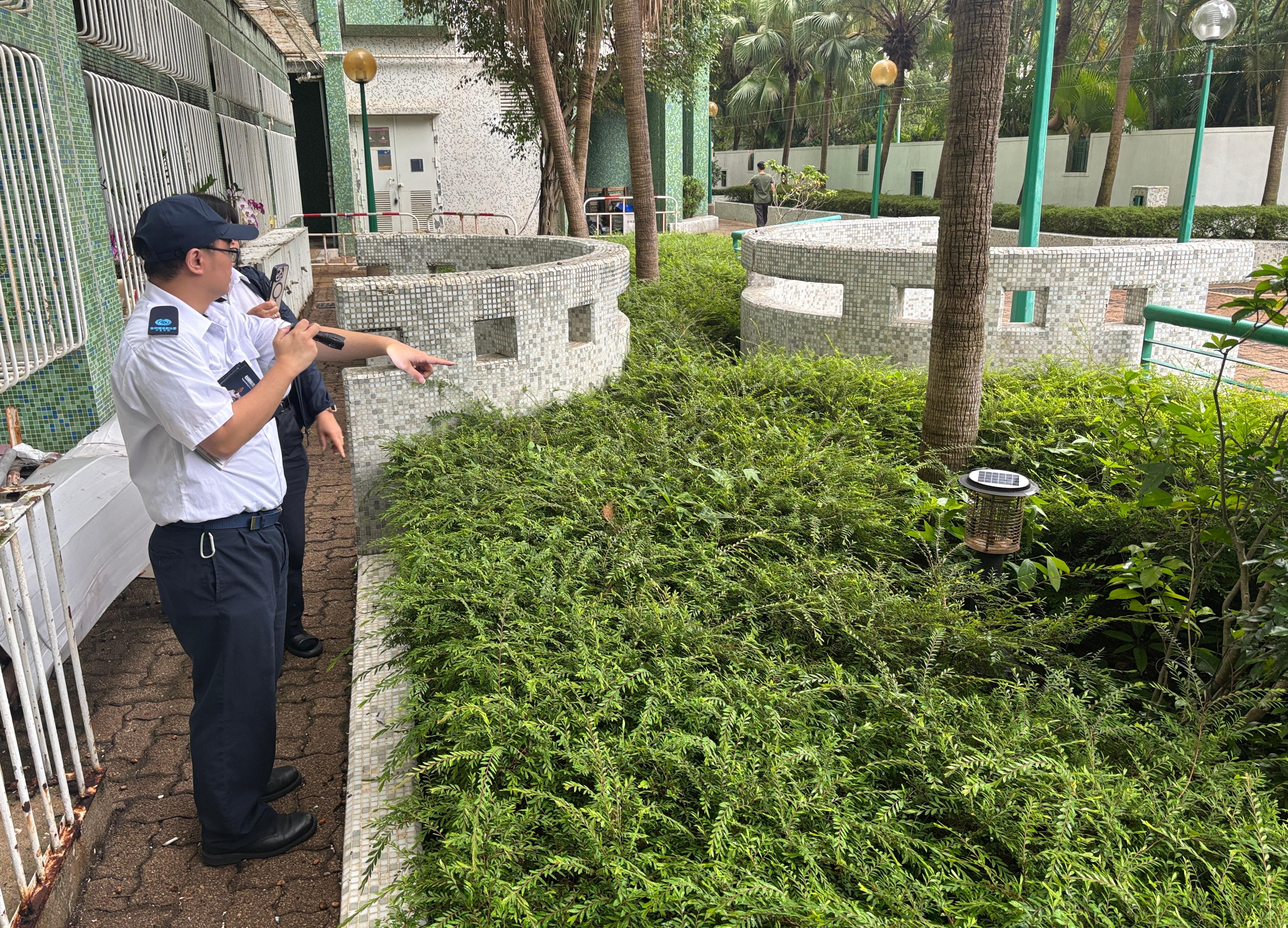 The Food and Environmental Hygiene Department (FEHD) today (May 11) released the first batch of gravidtrap indexes and density indexes for Aedes albopictus in May, covering 14 survey areas. Photo shows an FEHD staff member inspecting a private housing estate in Lam Tin, Kwun Tong District, and providing the management staff member with technical advice on mosquito prevention and control.