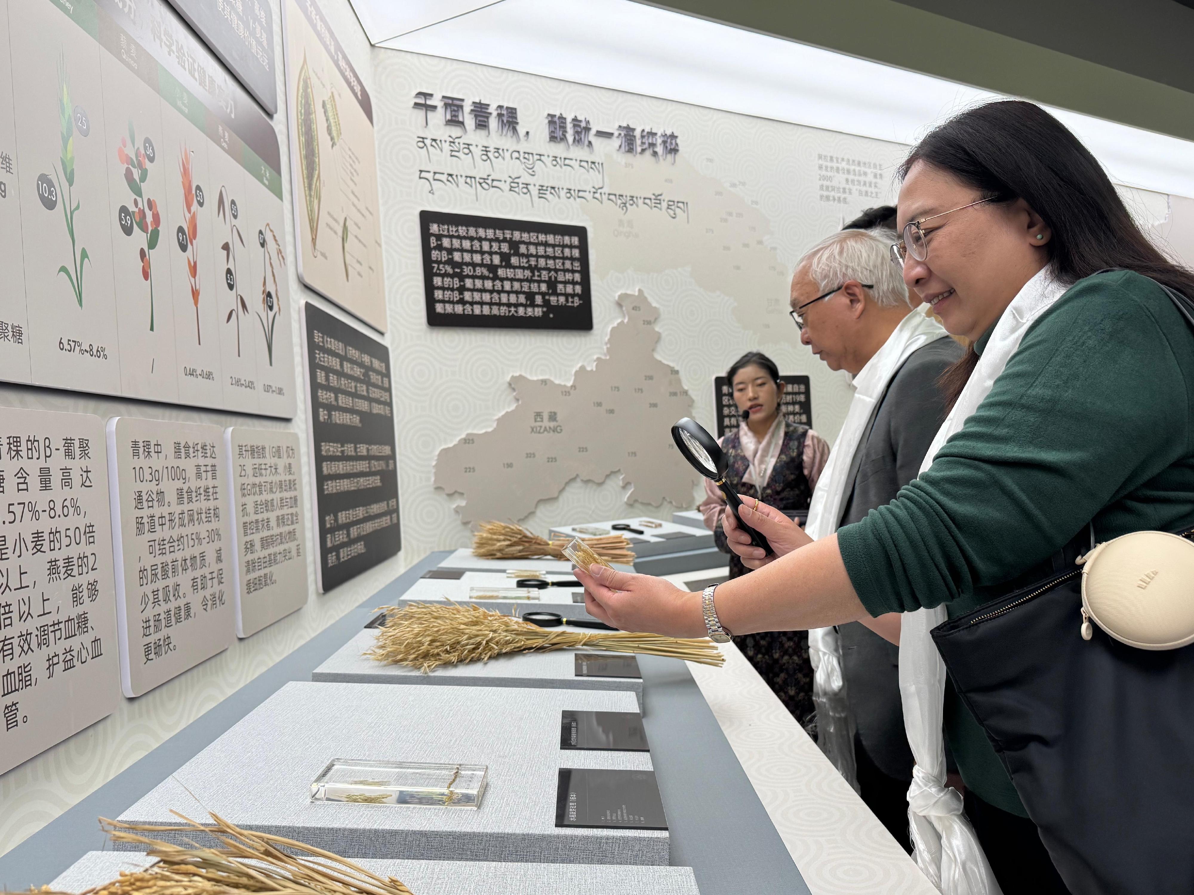 The Secretary for Environment and Ecology, Mr Tse Chin-wan, continued his visit to the Xizang Autonomous Region yesterday (May 20). Photo shows Mr Tse (second right) and the Permanent Secretary for Environment and Ecology (Food), Ms Irene Young (first right), visiting a highland barley wine production enterprise in Lhasa city, and being briefed on the use of highland barley, a characteristic crop of the plateau, as the raw material for winemaking.
