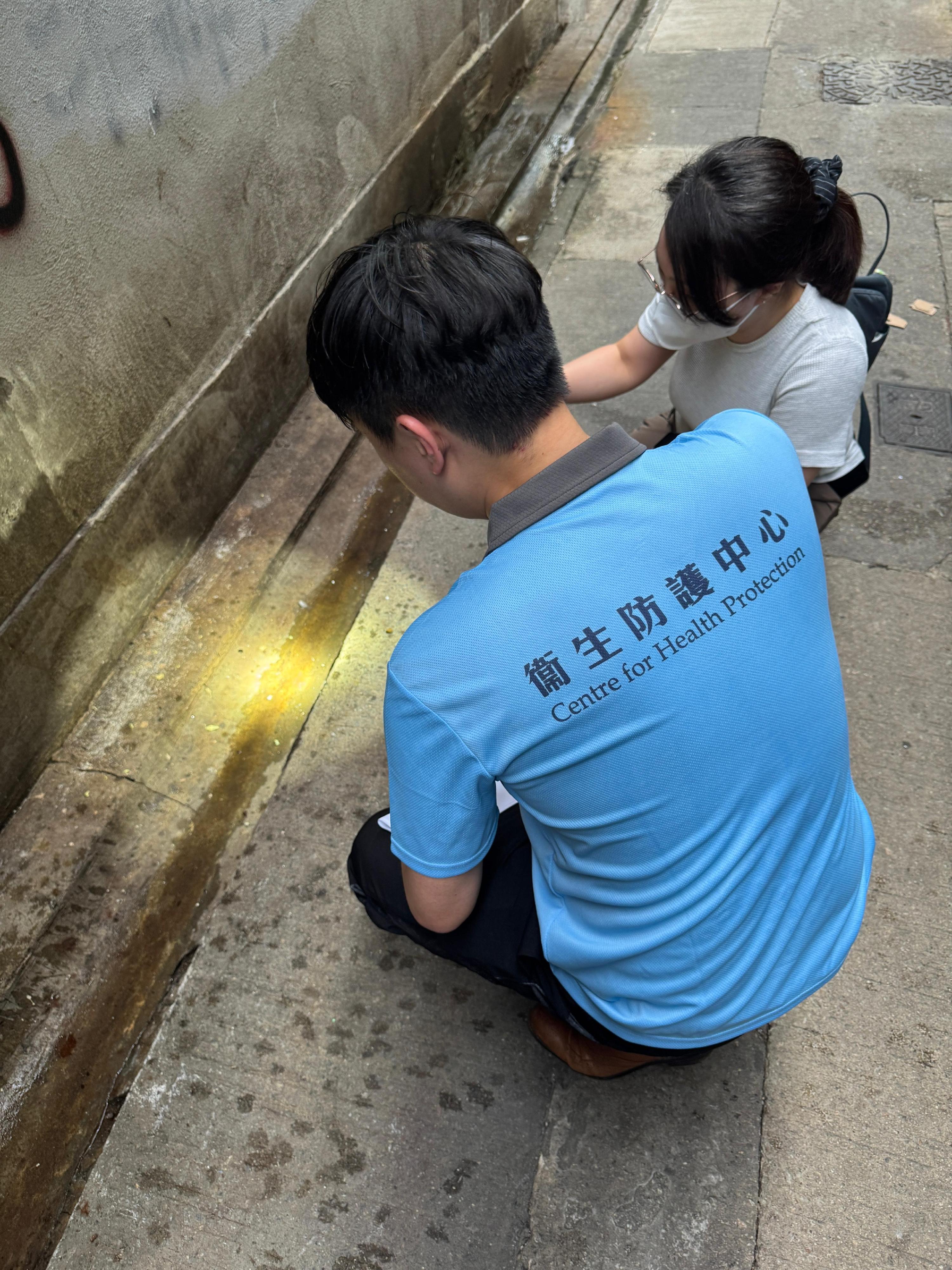 衞生署衞生防護中心(中心)今日(六月二日)跟進一宗本地登革熱個案,並正聯同政府多個部門採取適當防控措施。圖示中心人員與食物環境衞生署人員到深水埗一帶進行視察。