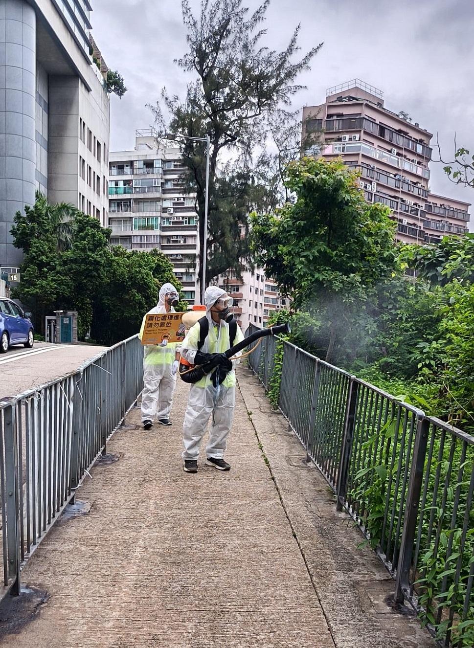 The Food and Environmental Hygiene Department (FEHD) today (June 9) released the first batch of gravidtrap indexes and density indexes for Aedes albopictus in June, covering 10 survey areas. Photo shows staff members of the FEHD's contractor conducting a fogging operation to eliminate adult mosquitoes in the vicinity of Ho Man Tin, Kowloon City District.