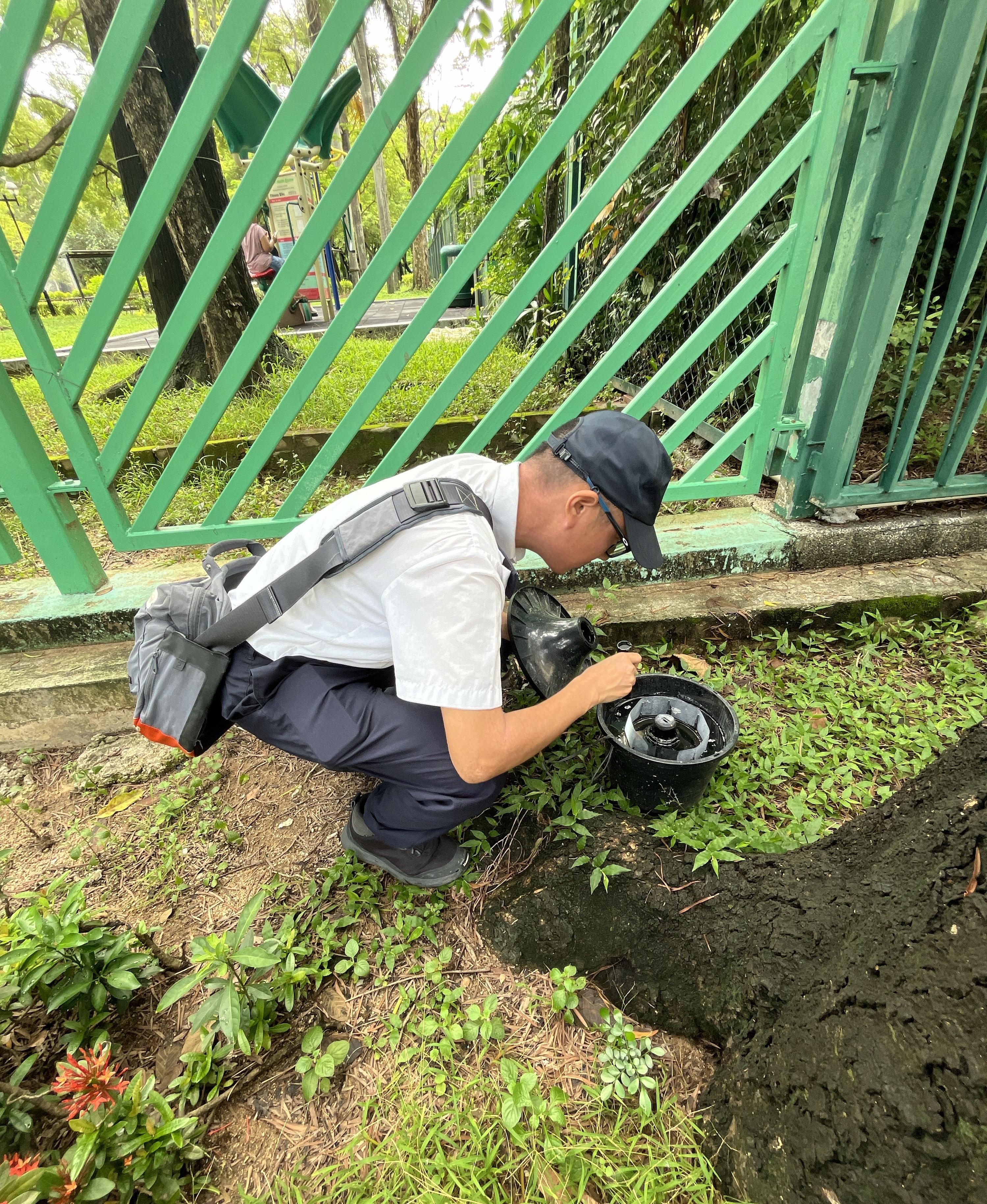 The Food and Environmental Hygiene Department (FEHD) today (June 9) released the first batch of gravidtrap indexes and density indexes for Aedes albopictus in June, covering 10 survey areas. Photo shows an FEHD staff member inspecting a new mosquito trap at a park in Wong Tai Sin East, Wong Tai Sin District, and providing venue management staff members with advice and technical support on mosquito prevention and control.