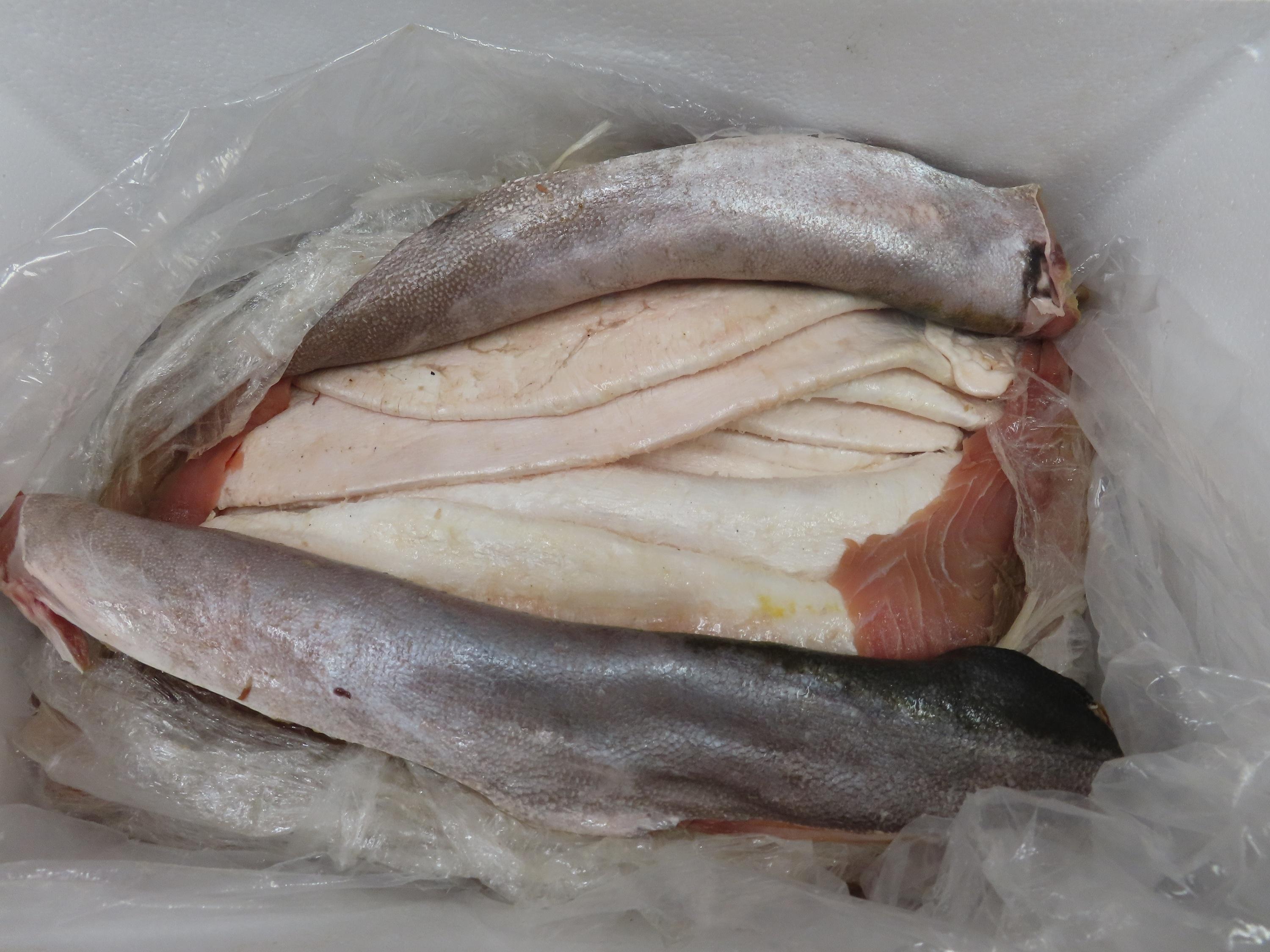 Hong Kong Customs yesterday (June 10) seized about 149 kilograms of suspected fresh fish maws of scheduled totoaba, with an estimated market value of about $23.8 million, at Hong Kong International Airport. Photo shows some of the suspected fresh fish maws of scheduled totoaba seized, which were mixed with frozen fish fillets.