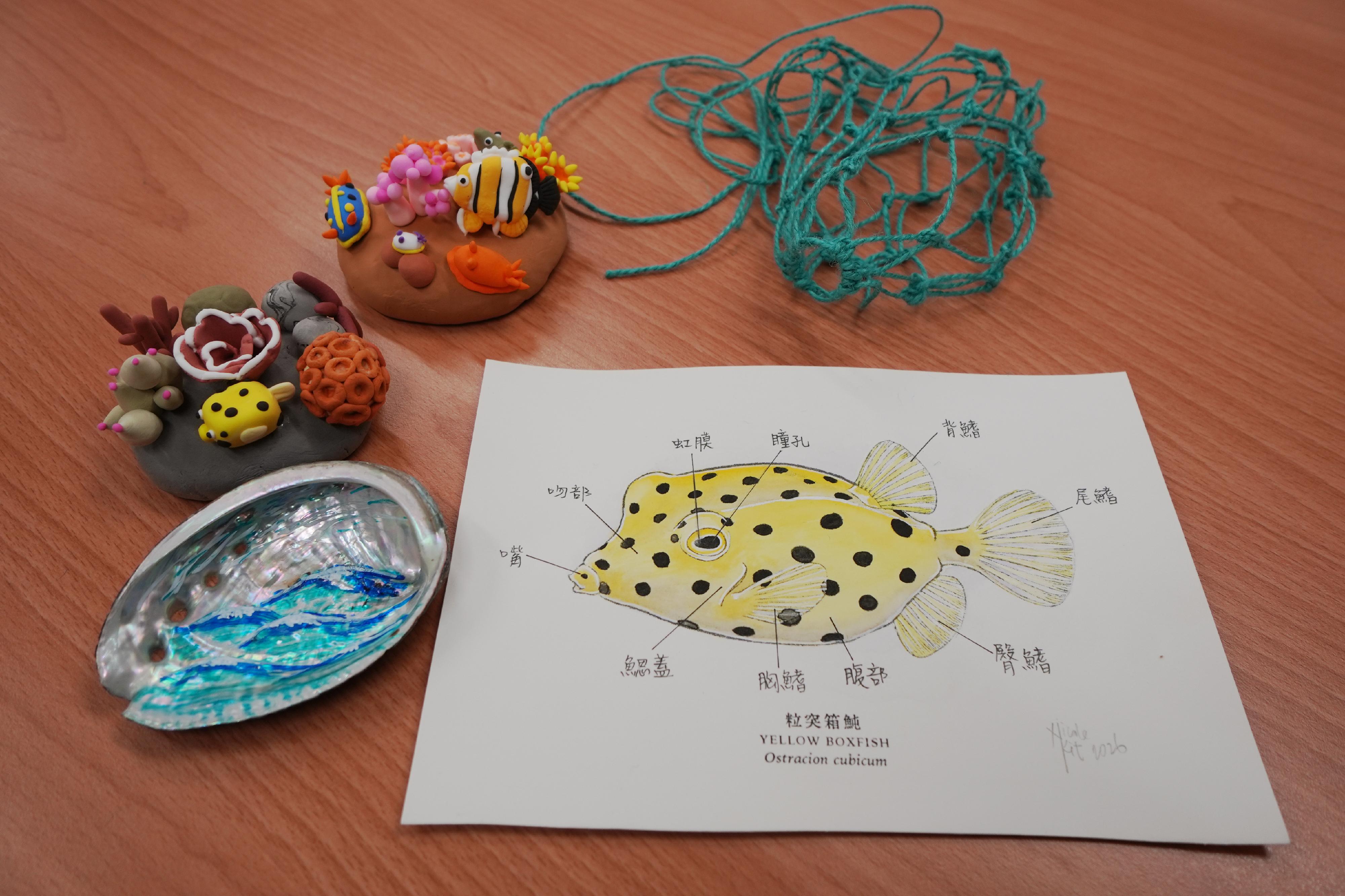 To celebrate the 30th anniversary of the establishment of marine parks, the Agriculture, Fisheries and Conservation Department is organising the "Marine Parks 30th Anniversary" Roving Exhibition at D·PARK in Tsuen Wan from today (June 12) to June 18, kicking off a series of marine parks 30th anniversary celebration events. Free public workshops such as marine wildlife illustration, coral reef clay-making, seashell upcycling and fishing net weaving experiences will be held on weekends during the Roving Exhibition.