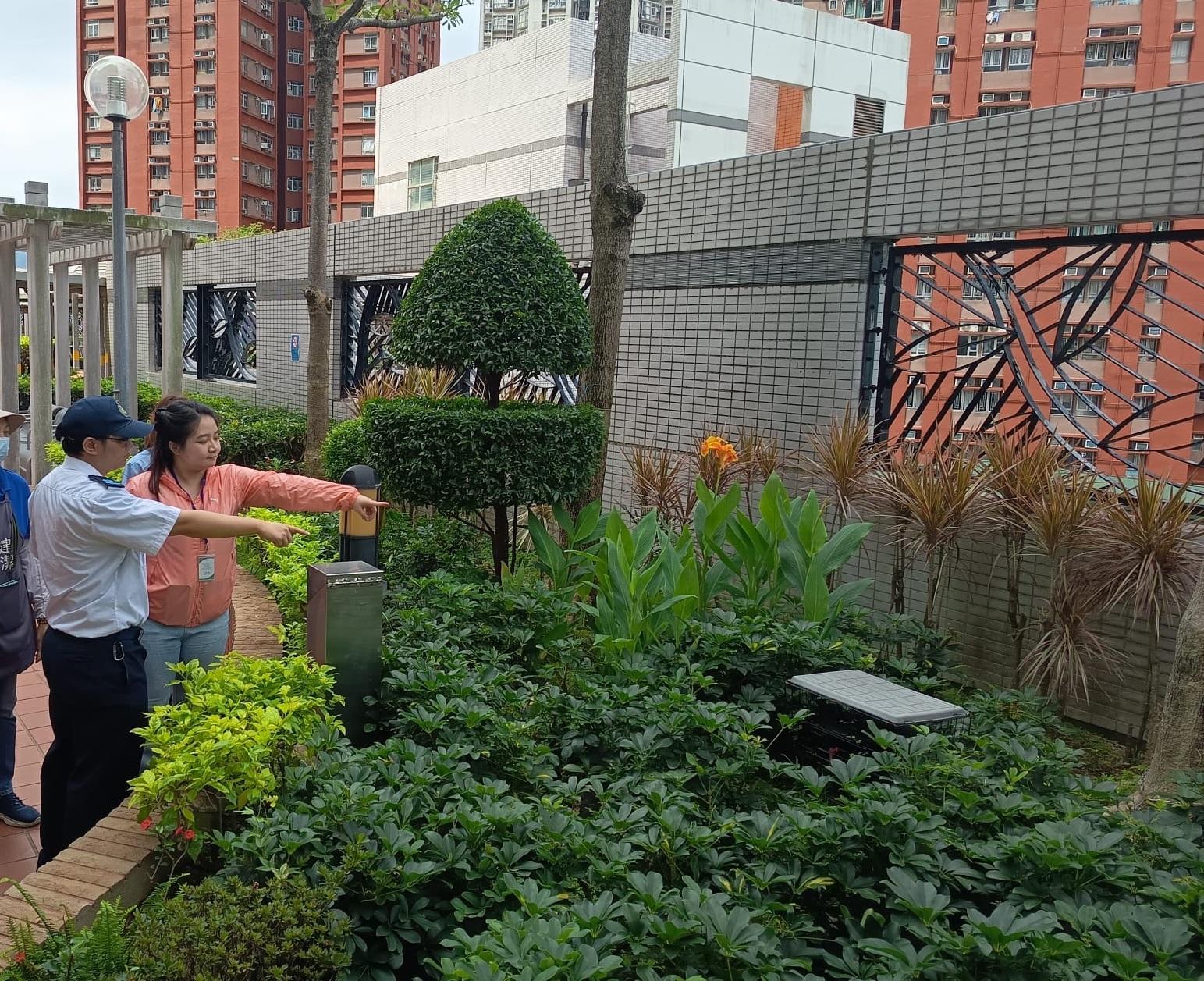 The Food and Environmental Hygiene Department (FEHD) today (June 12) released the second batch of gravidtrap indexes and density indexes for Aedes albopictus in June, covering 13 survey areas. Photo shows an FEHD staff member inspecting a private housing estate in Sau Mau Ping, Kwun Tong District, and providing the property management staff member with advice and technical support on mosquito prevention and control.