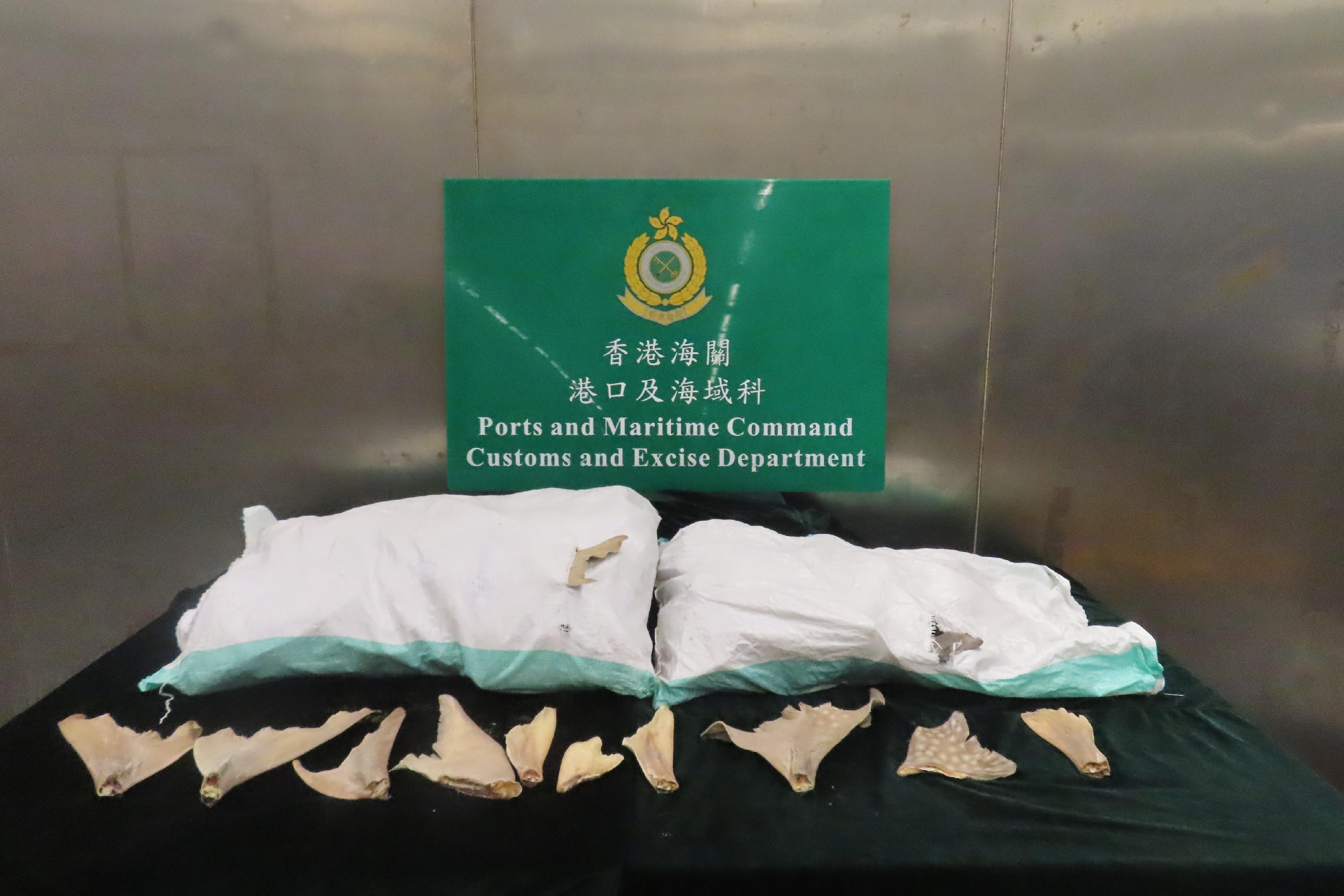 香港海關昨日(六月十六日)檢獲約二百四十公斤懷疑受管制犁頭鰩乾魚翅,估計市值約五十萬元。圖示檢獲的部分懷疑受管制犁頭鰩乾魚翅。