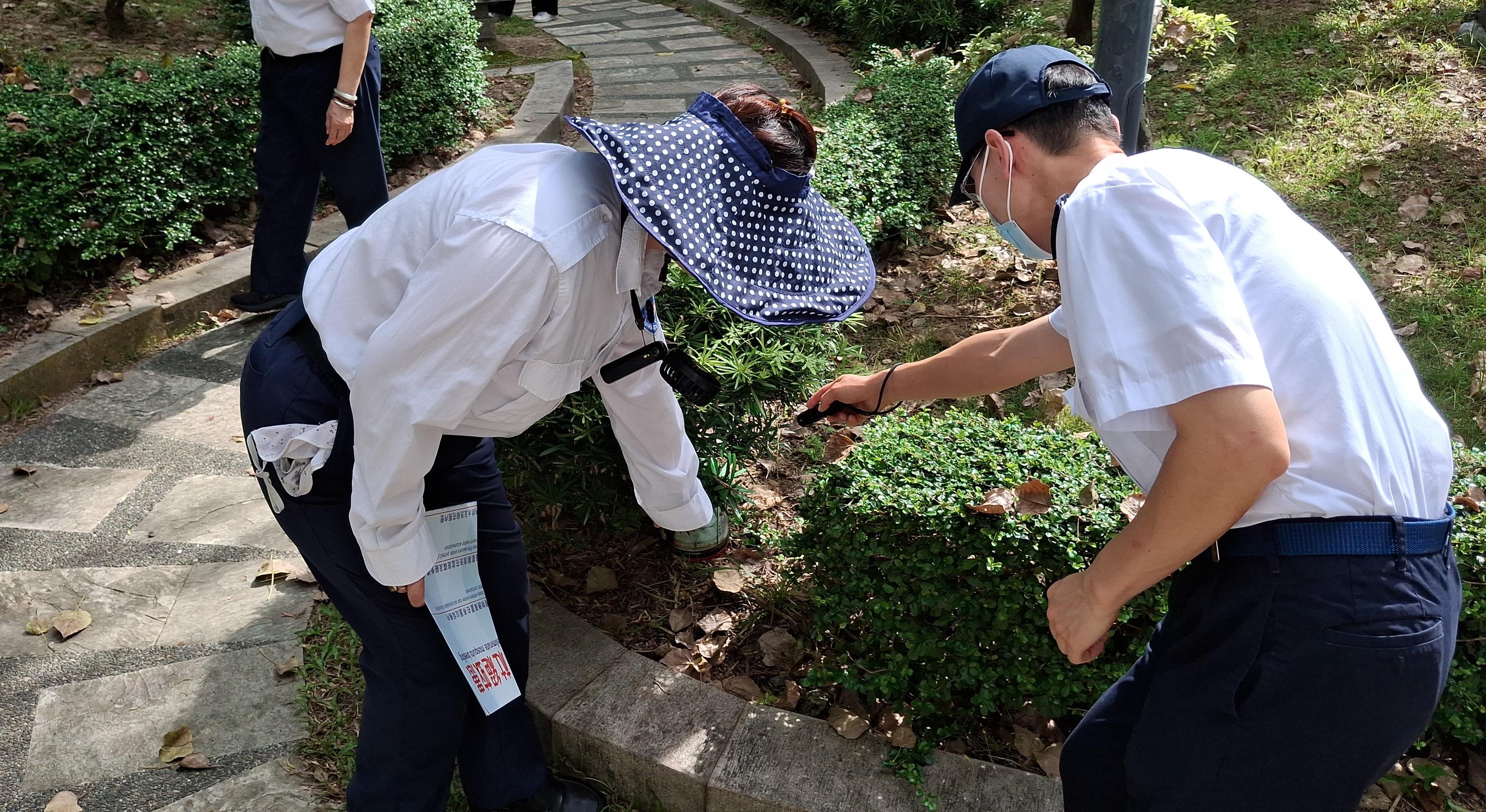 The Food and Environmental Hygiene Department (FEHD) today (June 25) released the fifth batch of gravidtrap indexes and density indexes for Aedes albopictus in June, covering 31 survey areas. Photo shows an FEHD staff member inspecting a park in Tin Shui Wai, Yuen Long District. Following the discovery of stagnant water inside the park, a statutory notice has been issued to the relevant venue management company, requiring the clearance of such stagnant water within a specified timeframe.