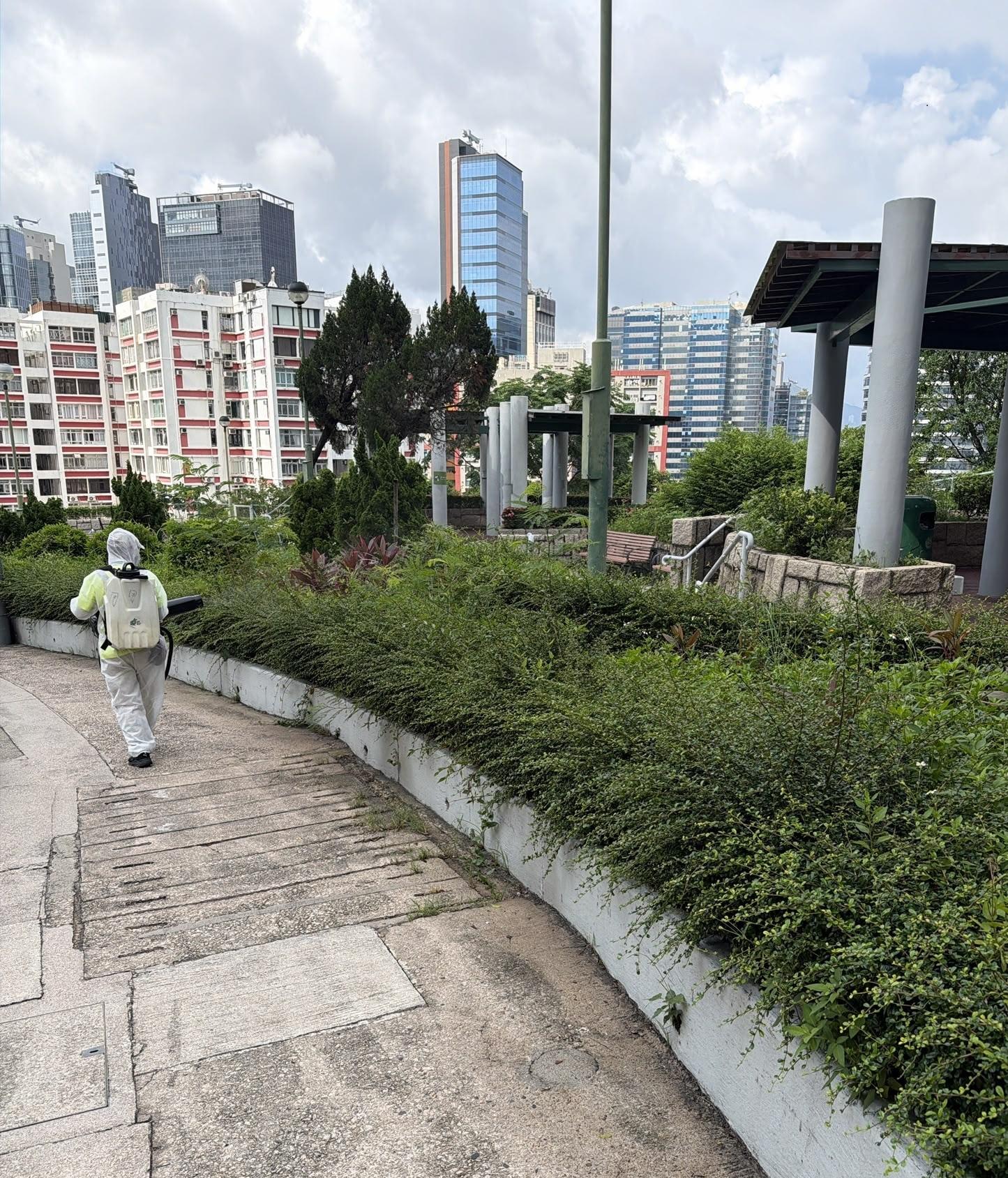 The Food and Environmental Hygiene Department (FEHD) today (June 25) released the fifth batch of gravidtrap indexes and density indexes for Aedes albopictus in June, covering 31 survey areas. Photo shows a staff member of the FEHD's contractor conducting a fogging operation to eliminate adult mosquitoes in the vicinity of Kwun Tong Central, Kwun Tong District.
