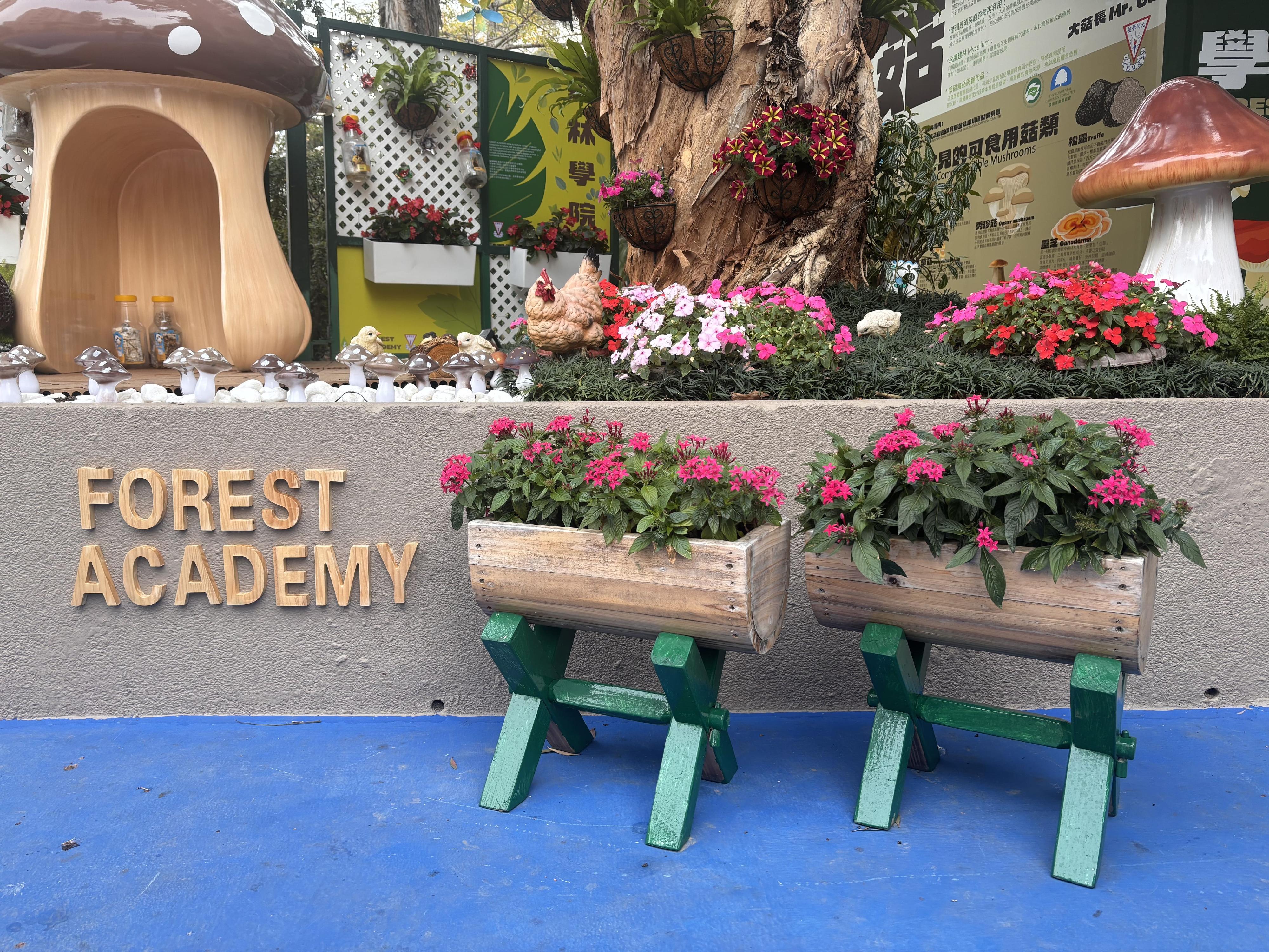 The Greening School Project Award prize presentation ceremony, organised by the Leisure and Cultural Services Department, was held today (June 27) at the Kowloon Park Sports Centre. Thirty-seven schools were commended for their meritorious green school projects and contributions to environmental greening. The Award was presented in eight categories. Photo shows the champion of Best Green Concept, Kwong Ming School.
