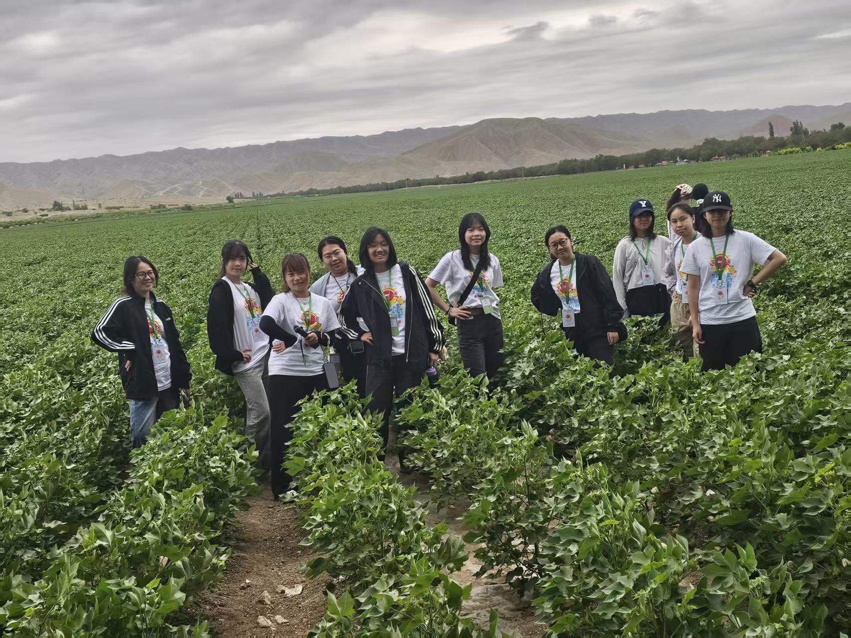 Radio Television Hong Kong's flagship summer programme, Solar Project 2026, has concluded its Xinjiang study tour today (July 9). Photo shows students visiting the cotton fields of the 143rd Regiment in Shihezi, Xinjiang.