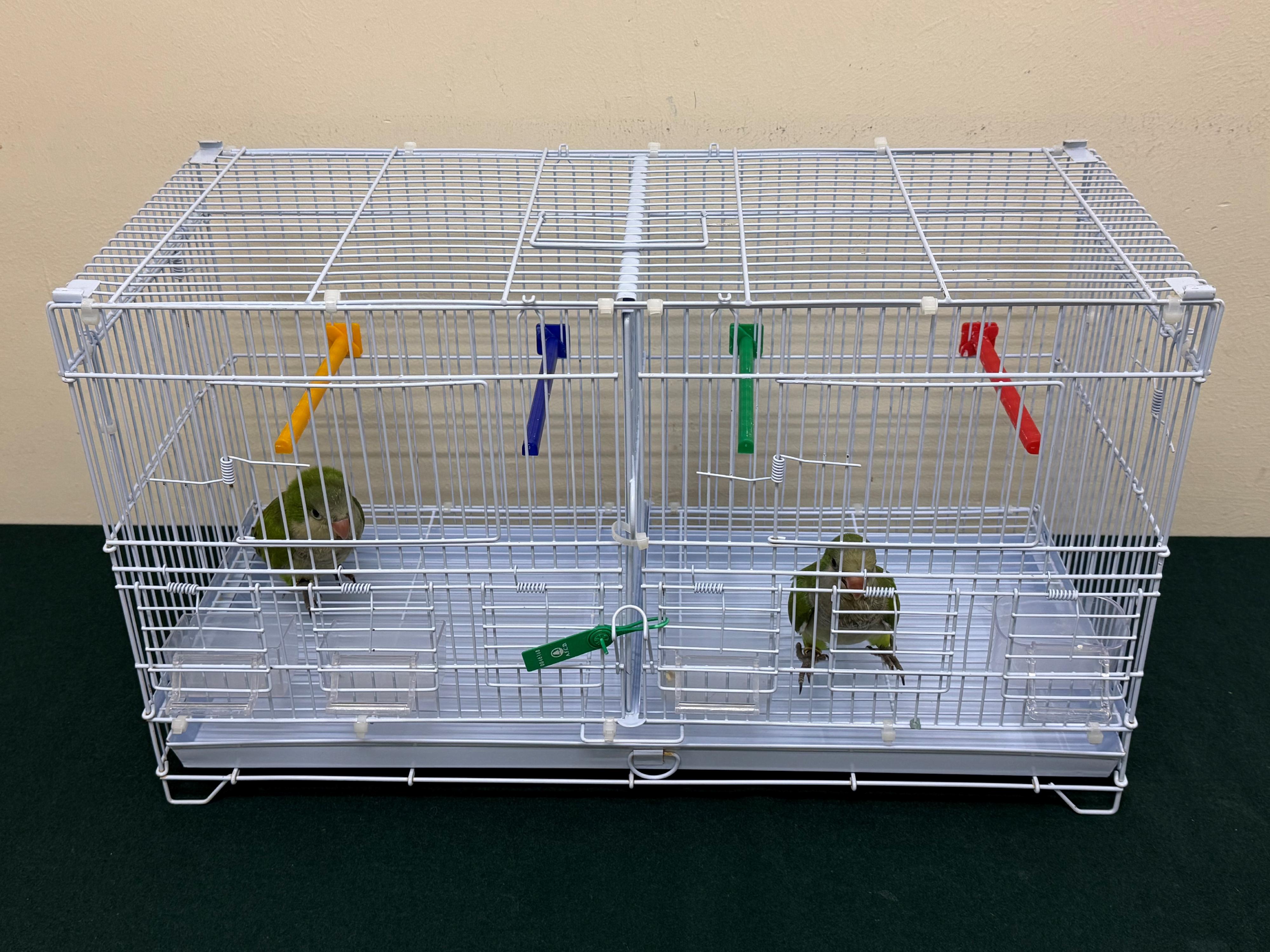Hong Kong Customs yesterday (July 9) seized two illegally imported live birds of suspected scheduled endangered species, with an estimated market value of about $5,000, at the Lok Ma Chau Spur Line Control Point. Photo shows the live birds of suspected scheduled endangered species seized.