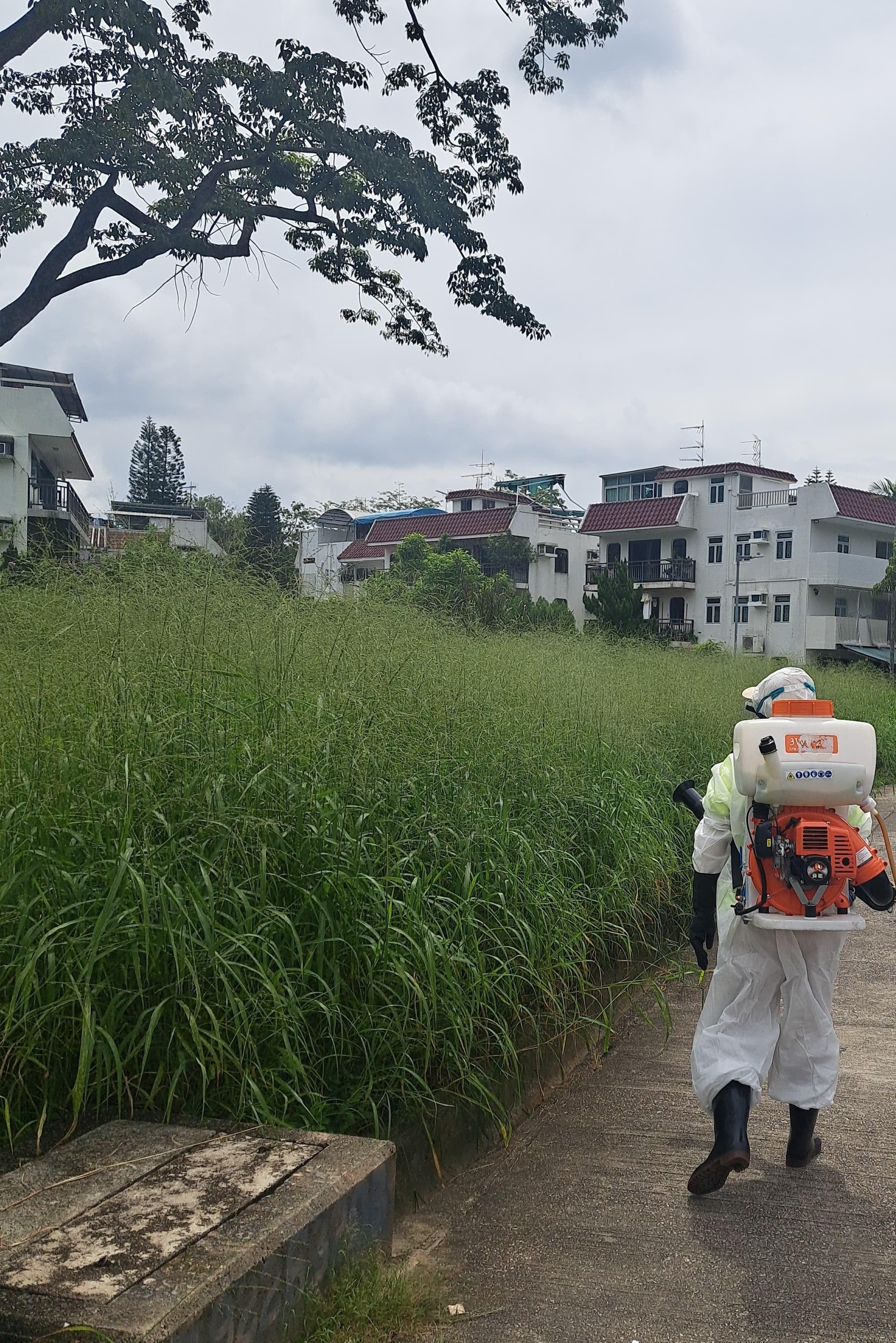 The Food and Environmental Hygiene Department (FEHD) today (July 14) released the second batch of gravidtrap indexes and density indexes for Aedes albopictus in July, covering 12 survey areas. Photo shows a staff member of the FEHD's contractor conducting a fogging operation to eliminate adult mosquitoes in the vicinity of Tai Po West, Tai Po District.
