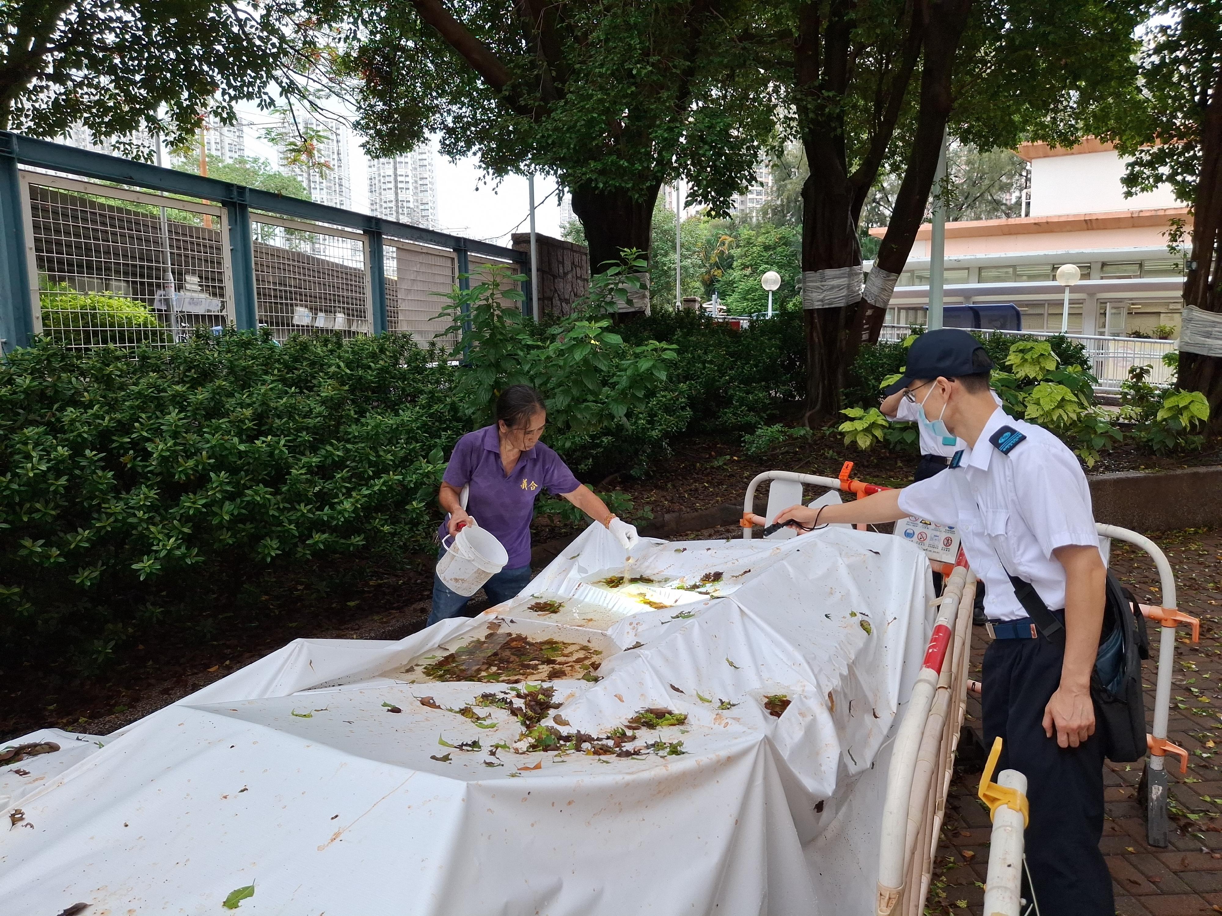 The Food and Environmental Hygiene Department (FEHD) today (July 17) released the third batch of gravidtrap indexes and density indexes for Aedes albopictus in July, covering 23 survey areas. Photo shows an FEHD staff member inspecting a public housing estate in Tin Shui Wai, Yuen Long District. Following the discovery of stagnant water inside the public housing estate, a statutory notice has been issued to the relevant estate management company, requiring the clearance of such stagnant water within a specified timeframe.